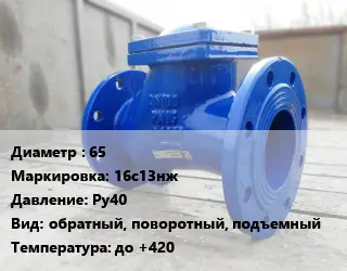 Клапан стальной 65 16с13нж Ру40 обратный, поворотный, подъемный до +420